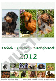 Dackelkalender 2011